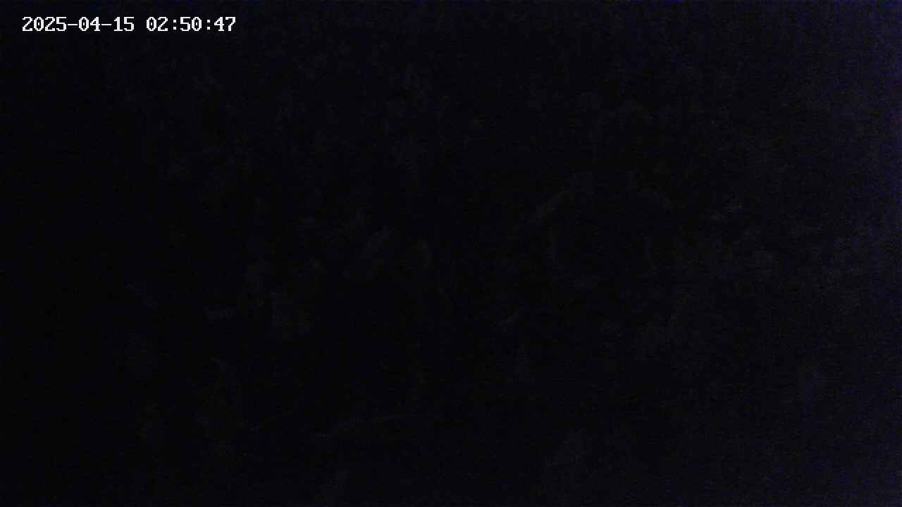 mizubasho4-20250415025048.jpg