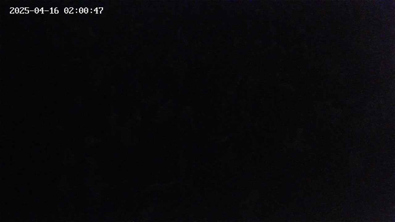 mizubasho4-20250416020048.jpg