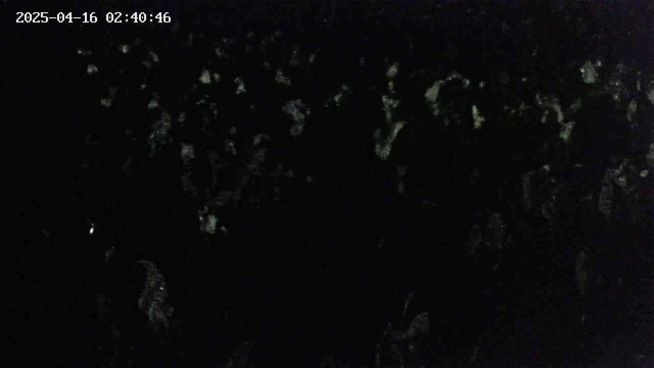 mizubasho4-20250416024046.jpg