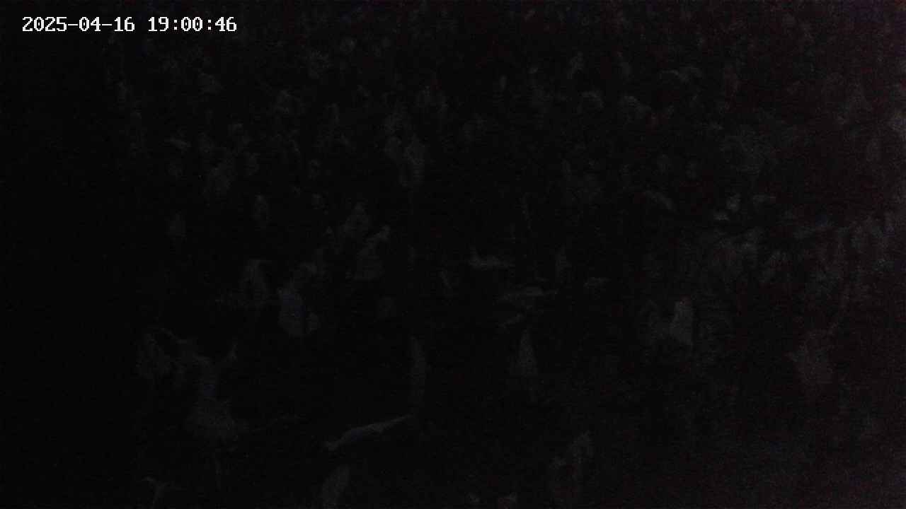 mizubasho4-20250416190047.jpg