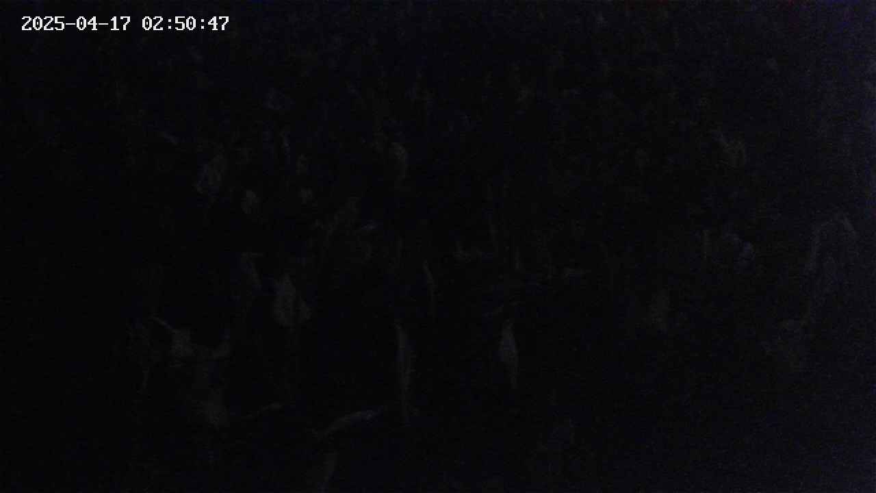 mizubasho4-20250417025048.jpg