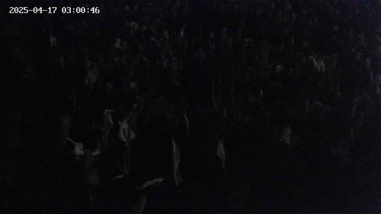 mizubasho4-20250417030047.jpg