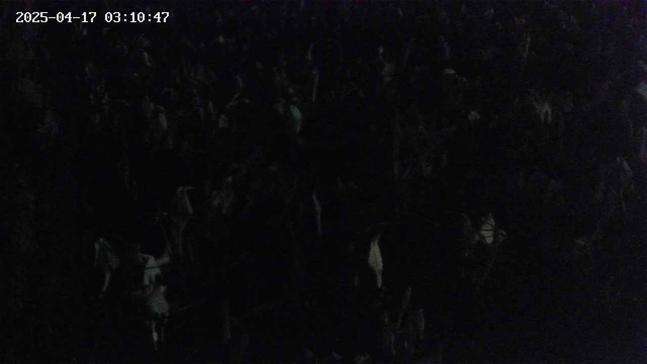 mizubasho4-20250417031047.jpg