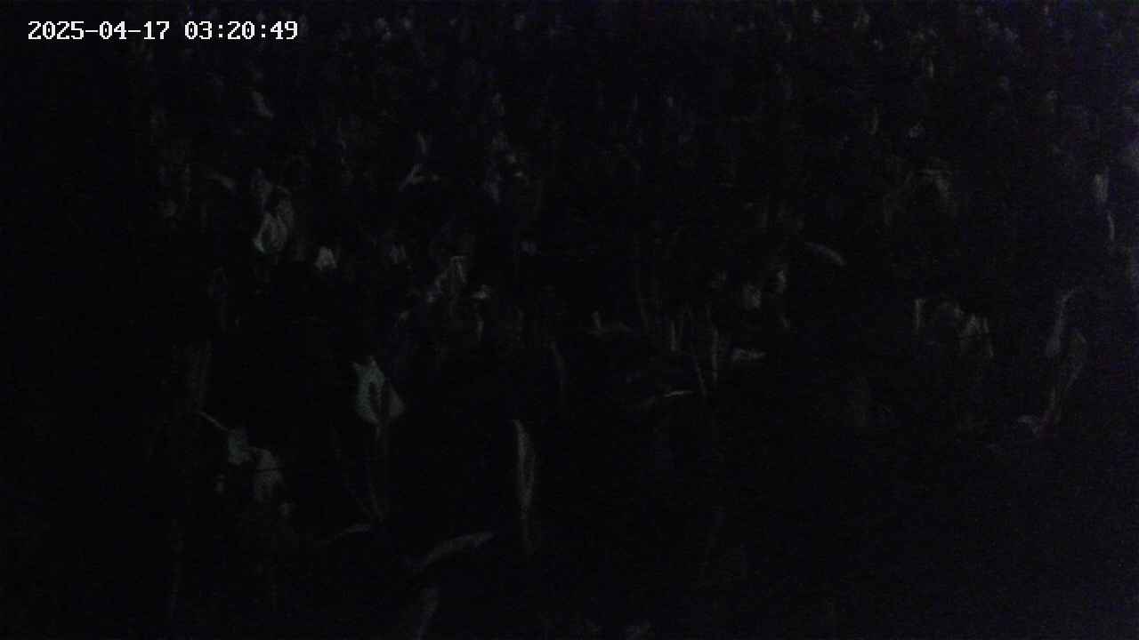 mizubasho4-20250417032050.jpg