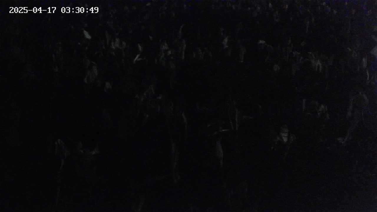 mizubasho4-20250417033049.jpg