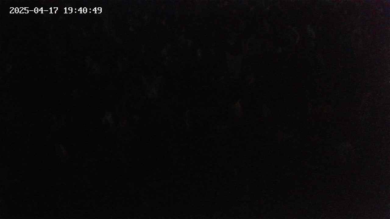 mizubasho4-20250417194050.jpg