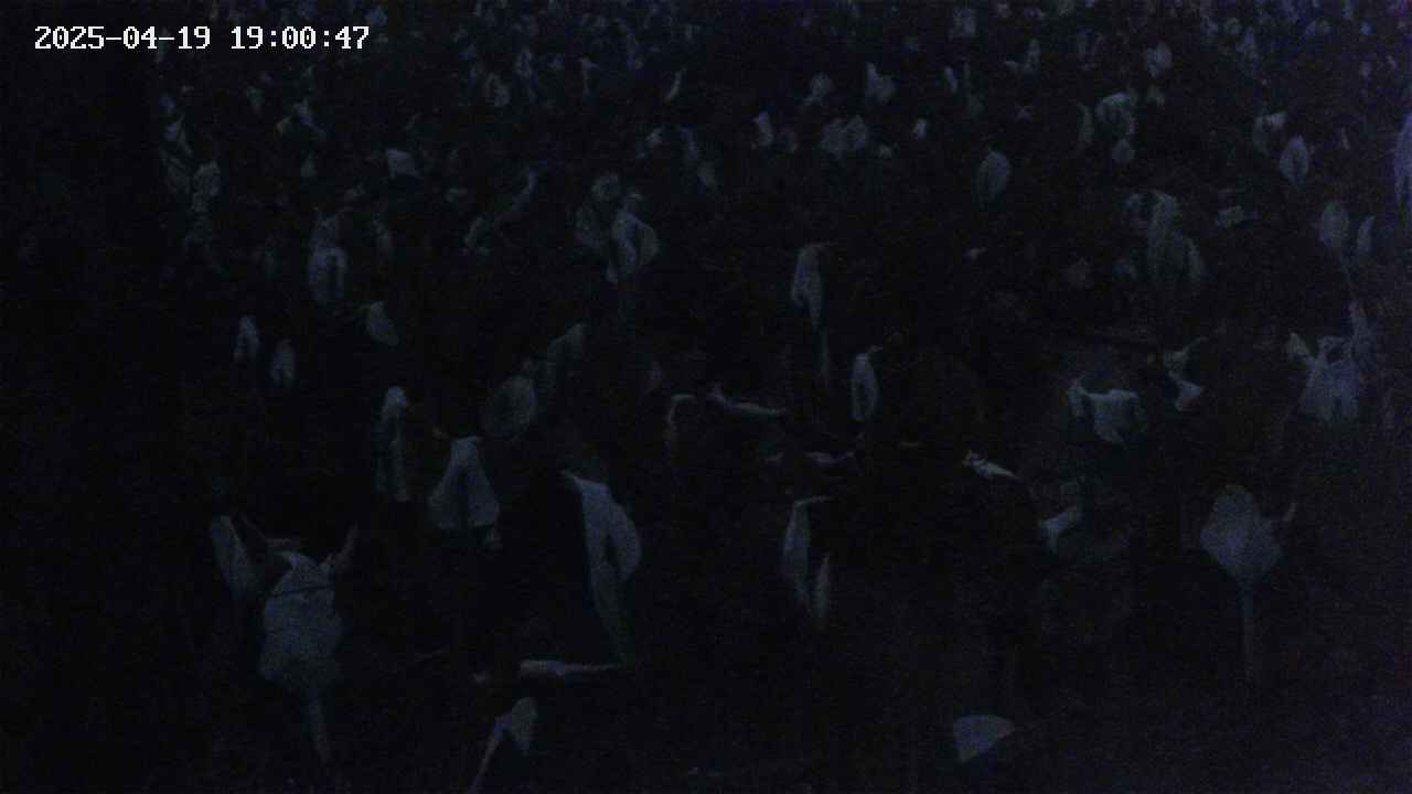 mizubasho4-20250419190049.jpg