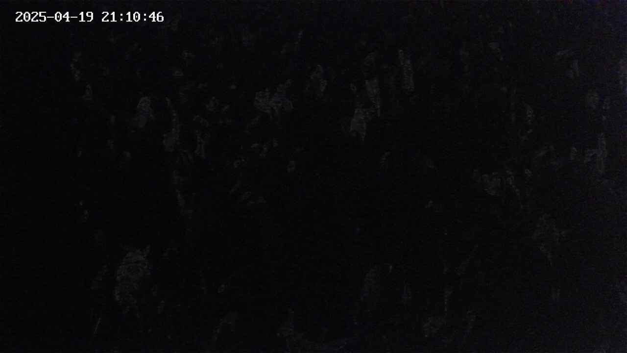 mizubasho4-20250419211047.jpg