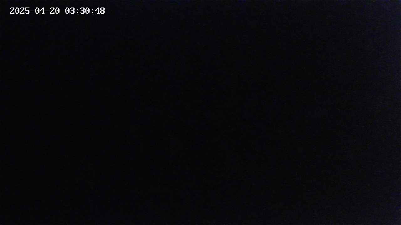 mizubasho4-20250420033049.jpg