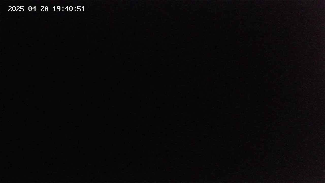 mizubasho4-20250420194052.jpg