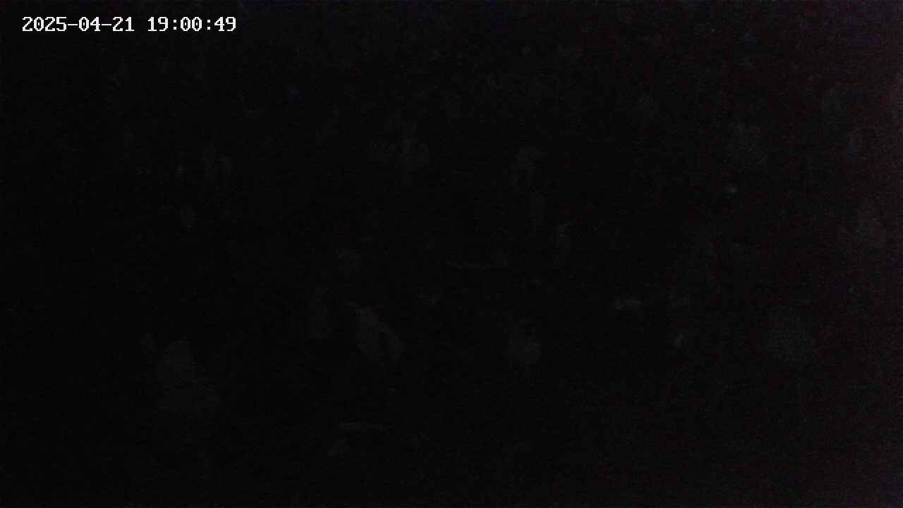mizubasho4-20250421190050.jpg