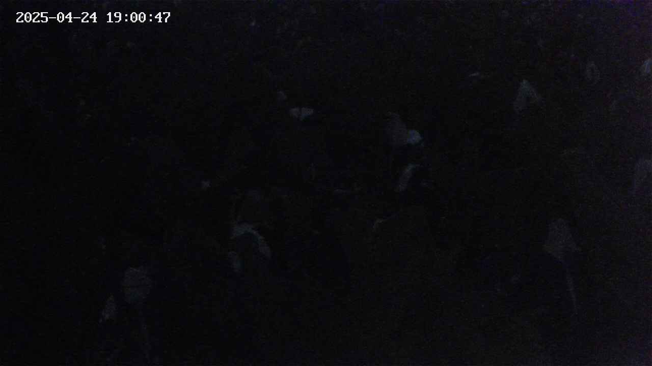 mizubasho4-20250424190048.jpg