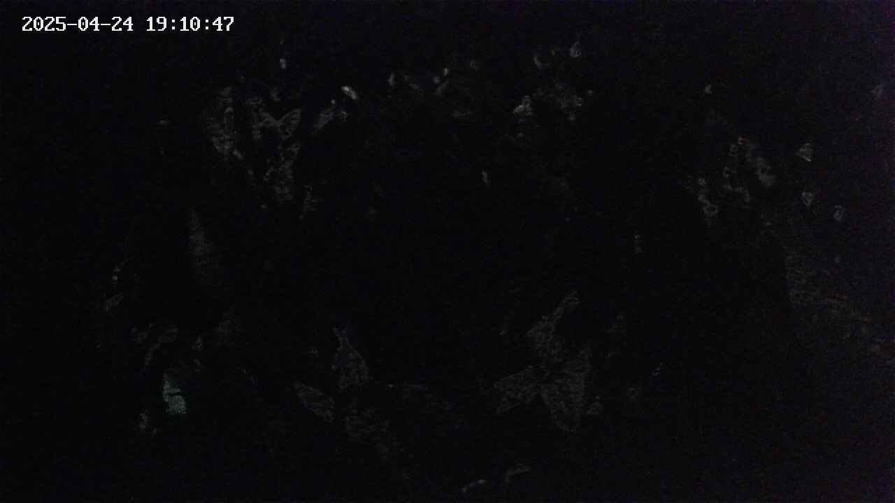 mizubasho4-20250424191048.jpg