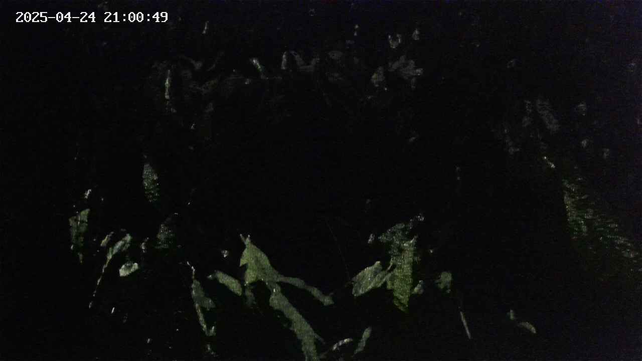 mizubasho4-20250424210049.jpg