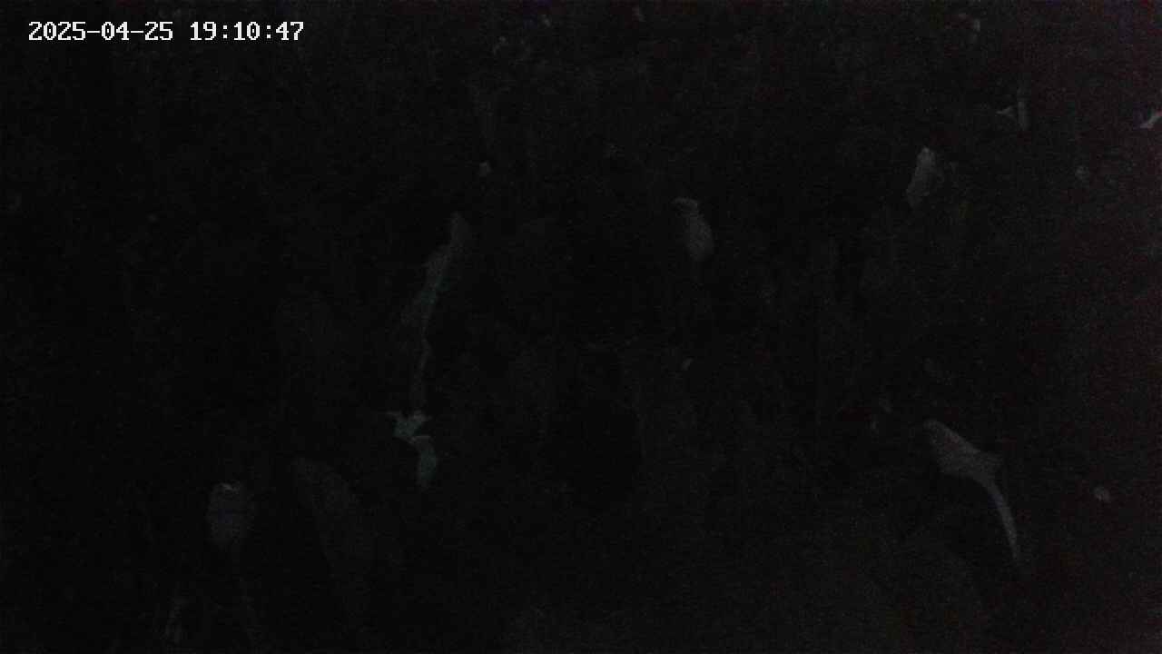 mizubasho4-20250425191048.jpg