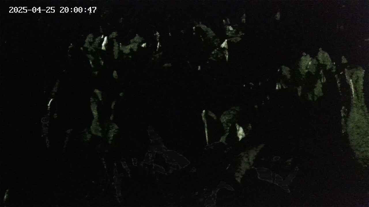mizubasho4-20250425200048.jpg
