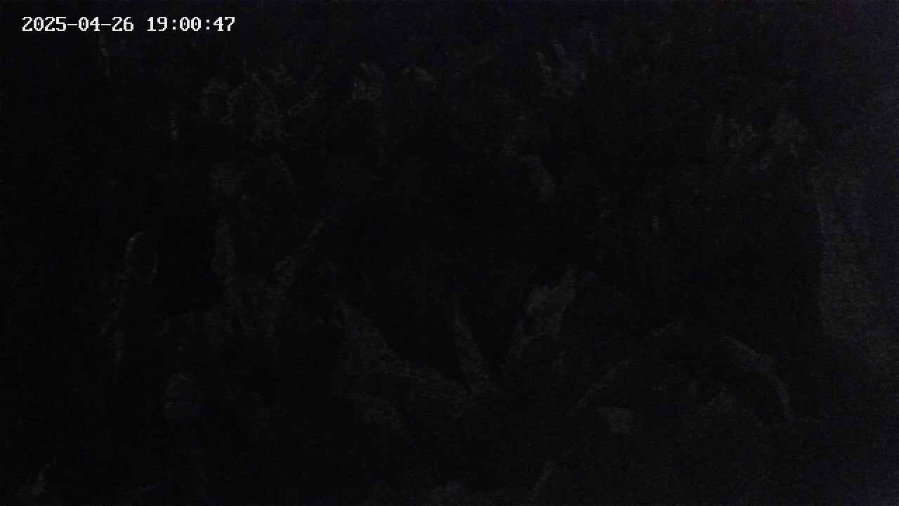 mizubasho4-20250426190049.jpg