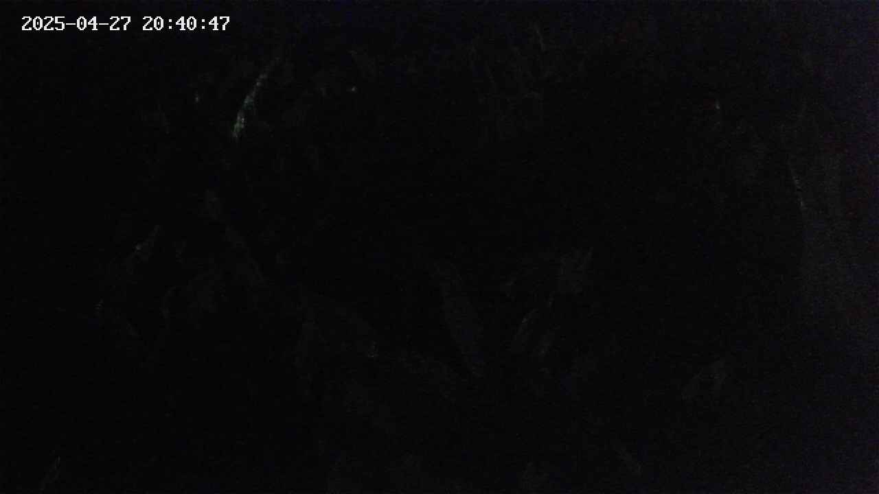 mizubasho4-20250427204048.jpg