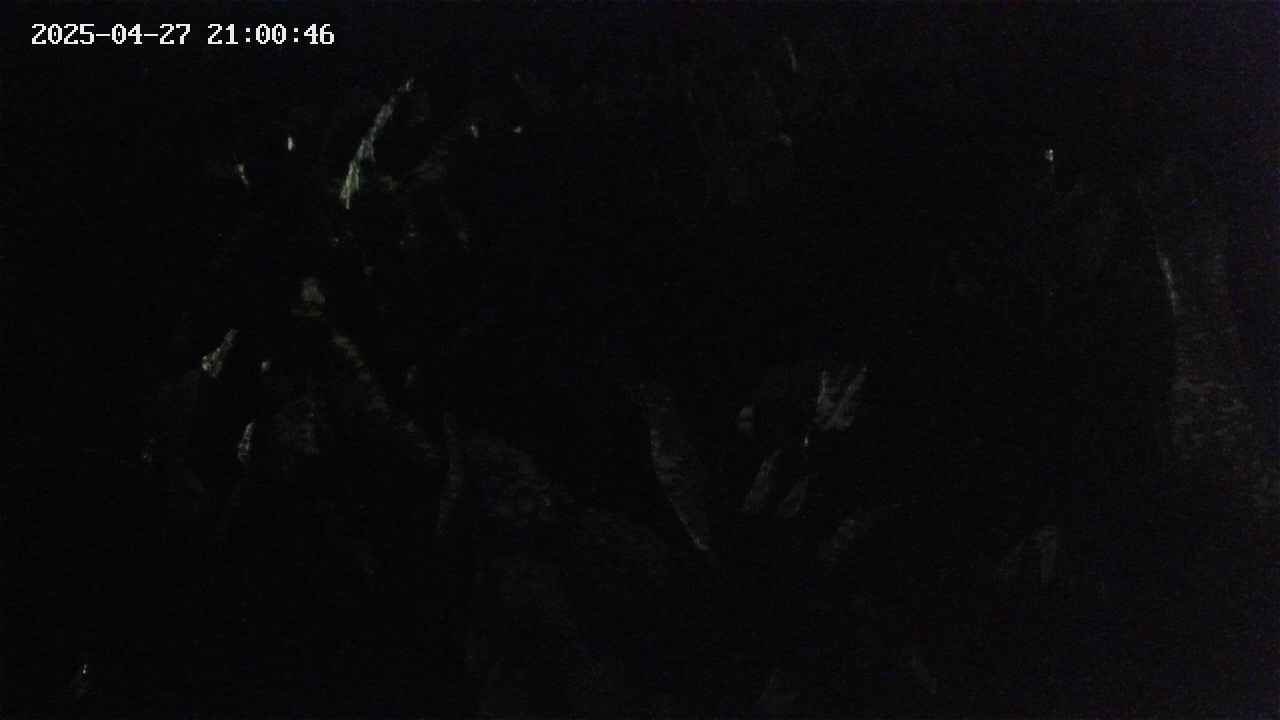 mizubasho4-20250427210047.jpg