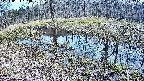 mizubasho6-20240404124034.jpg