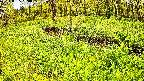 mizubasho6-20240505120055.jpg
