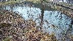 mizubasho6-20250404051030.jpg