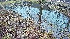 mizubasho6-20250404052030.jpg