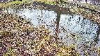 mizubasho6-20250404064030.jpg