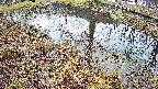 mizubasho6-20250404065030.jpg