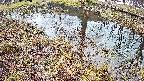 mizubasho6-20250404072031.jpg