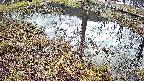 mizubasho6-20250404075030.jpg