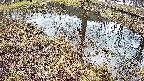 mizubasho6-20250404081031.jpg