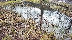 mizubasho6-20250404083030.jpg
