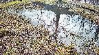 mizubasho6-20250404084031.jpg