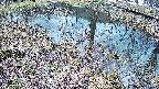 mizubasho6-20250404092030.jpg