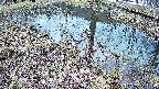 mizubasho6-20250404094029.jpg