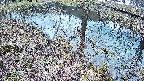 mizubasho6-20250404095028.jpg