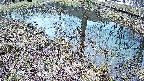 mizubasho6-20250404100029.jpg