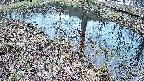 mizubasho6-20250404101031.jpg