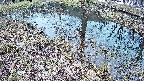 mizubasho6-20250404102029.jpg