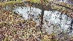 mizubasho6-20250404111029.jpg