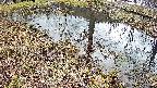 mizubasho6-20250404112030.jpg
