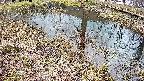 mizubasho6-20250404144029.jpg