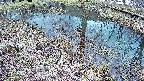mizubasho6-20250404160030.jpg