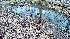 mizubasho6-20250404161031.jpg