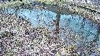 mizubasho6-20250404163028.jpg