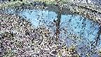 mizubasho6-20250404164027.jpg
