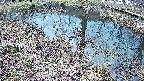 mizubasho6-20250404171028.jpg