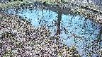 mizubasho6-20250404173031.jpg