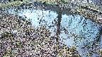 mizubasho6-20250404174030.jpg
